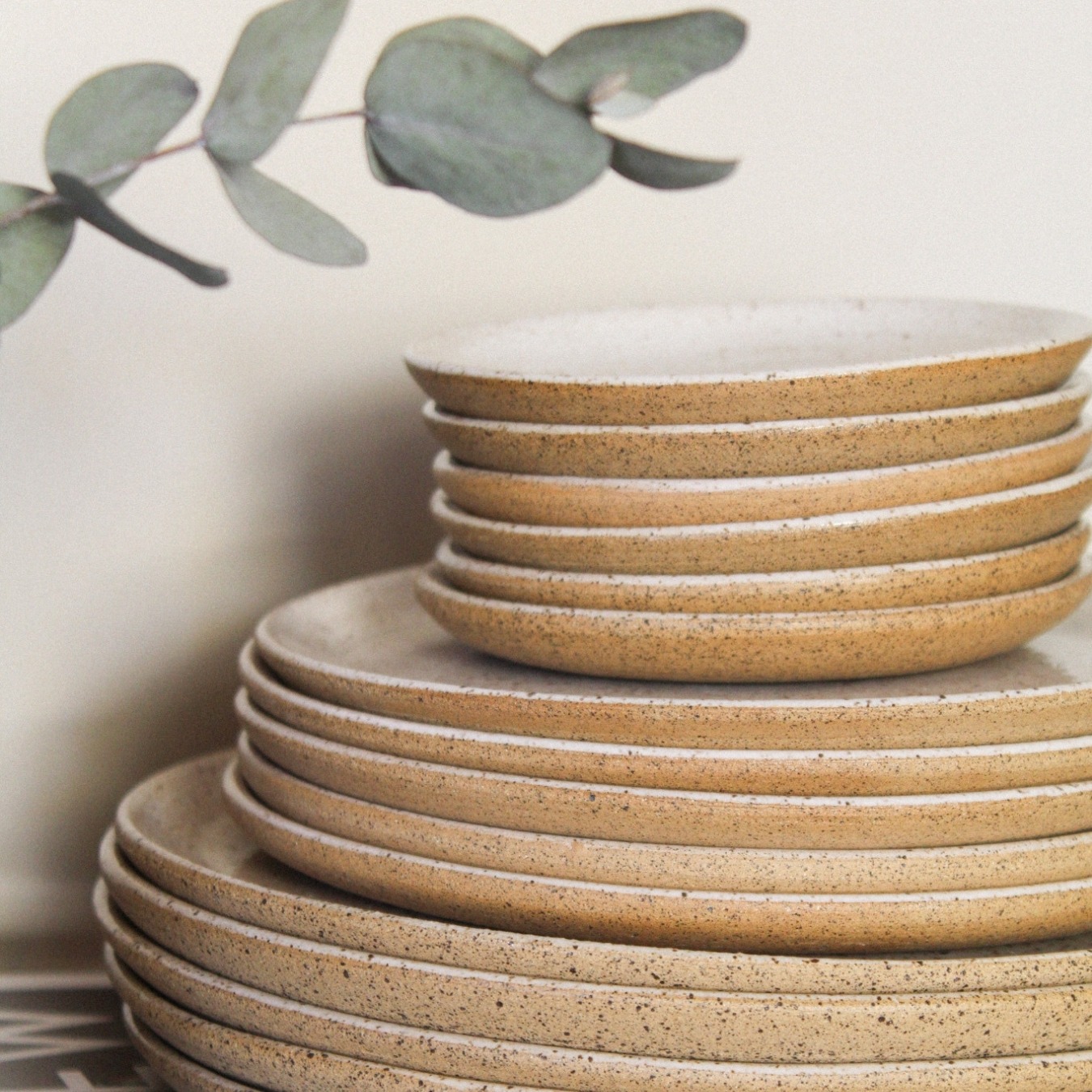 Prato Bruna - Imagem 2